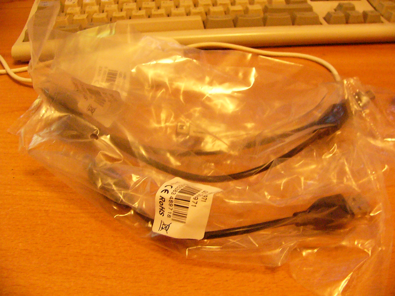 P1060654.JPG