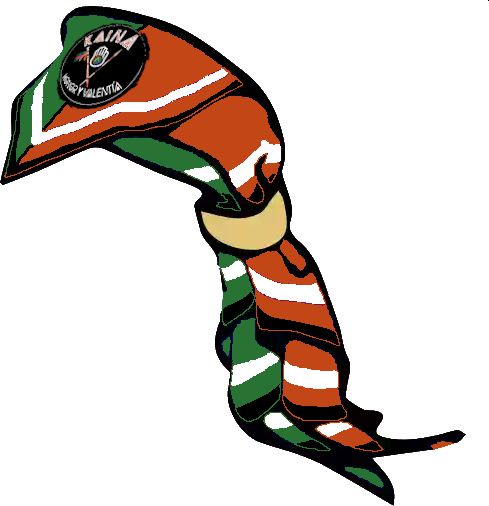 Pañoleta GrupoV2.png