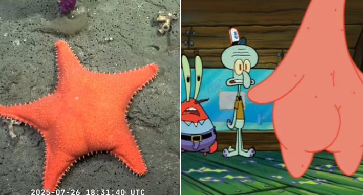 patrick2.jpg
