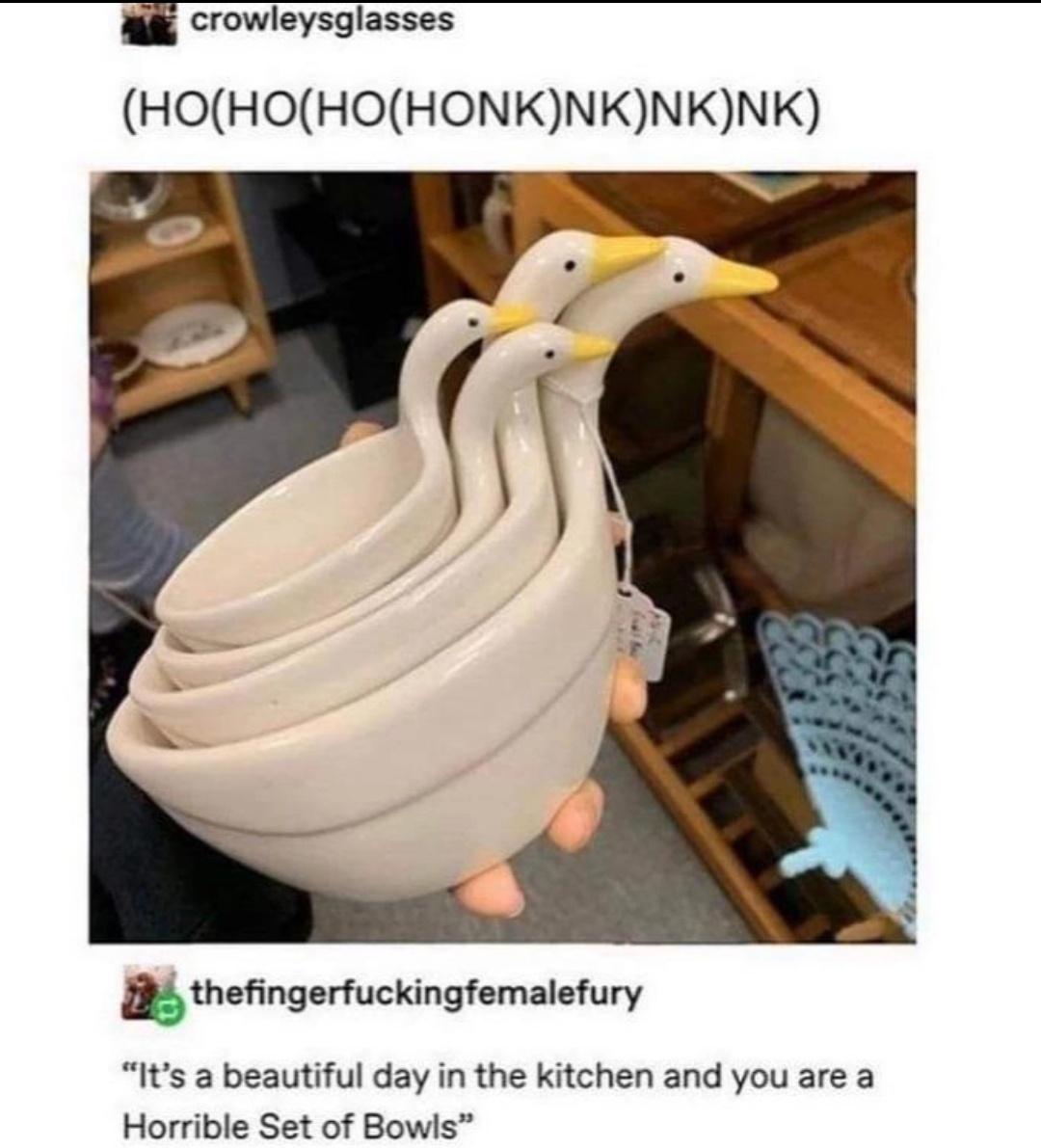 pbO09OU.jpeg