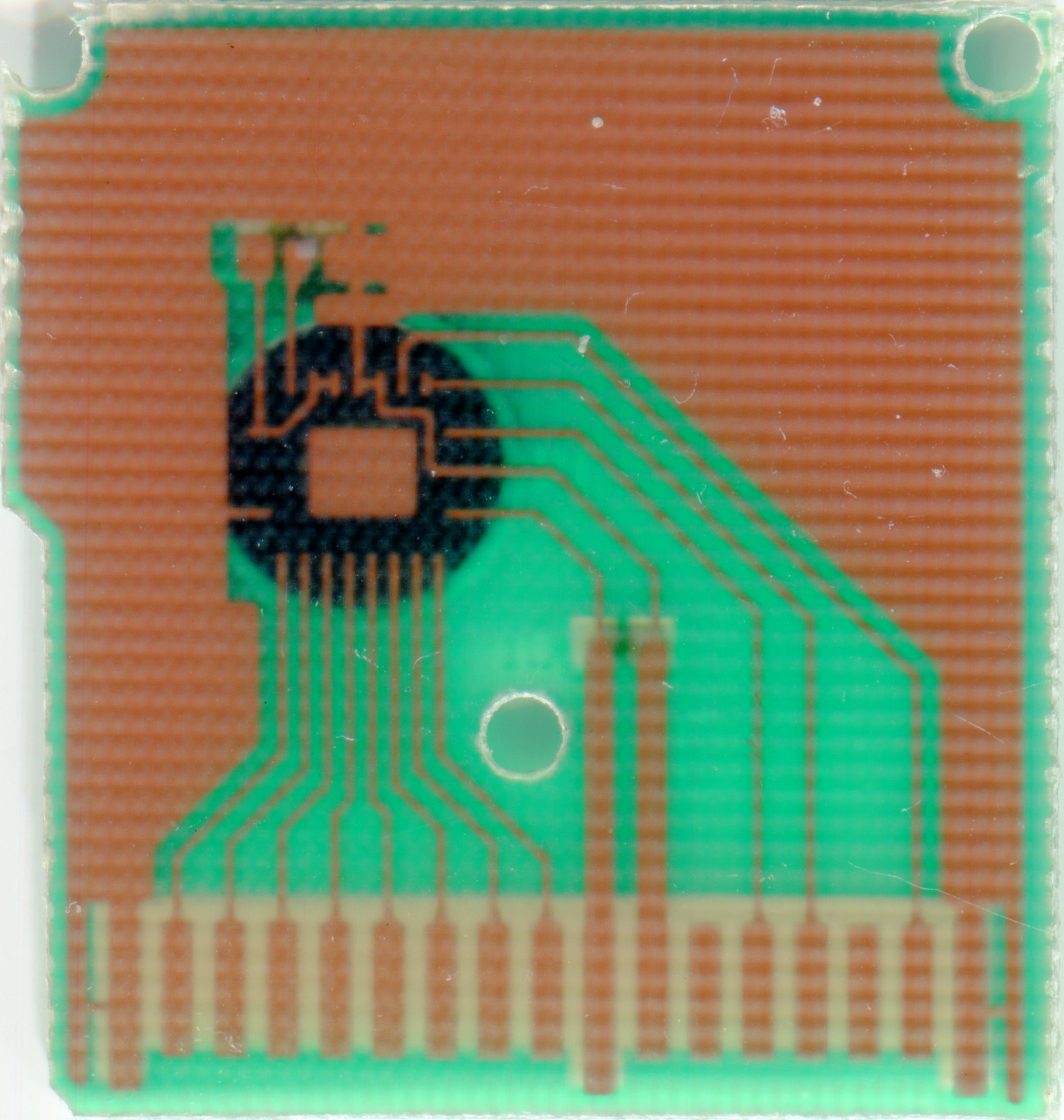 pcb back.jpg