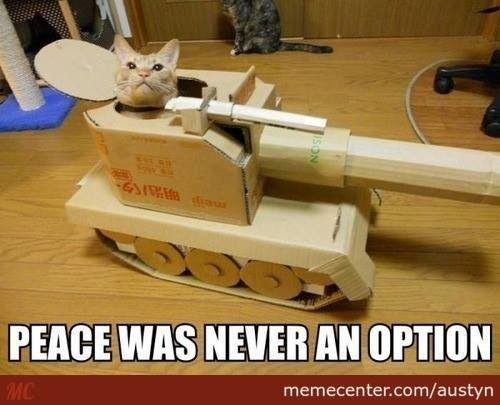 PeaceWasNeverOption.jpeg