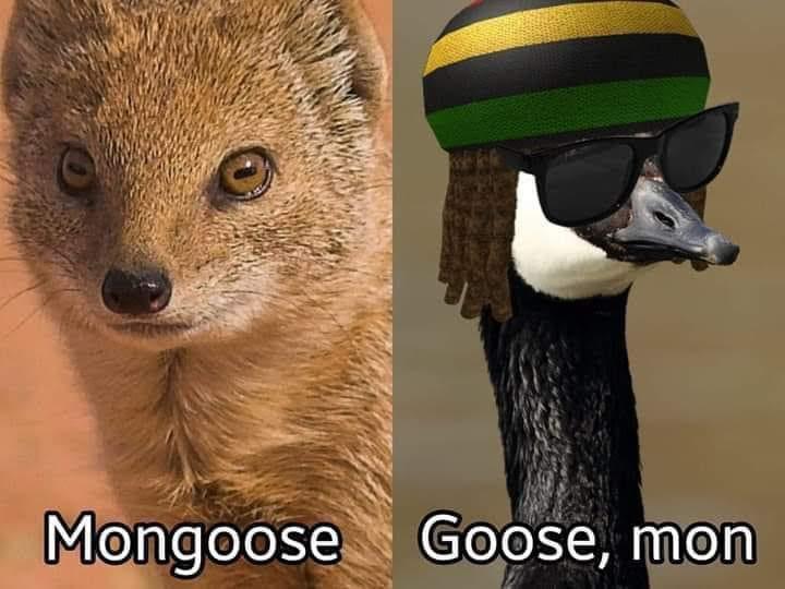 PEBsZZK.jpeg