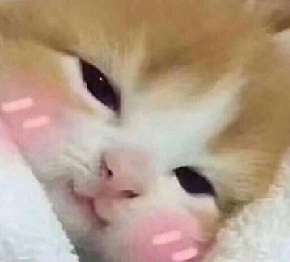 PIC.jpg