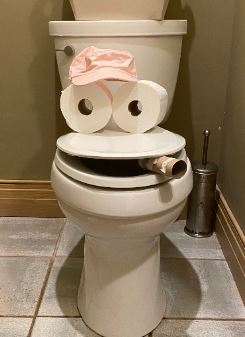 Pollys Throne.JPG