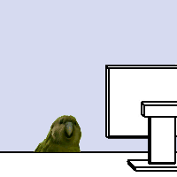 PollyWorking.gif