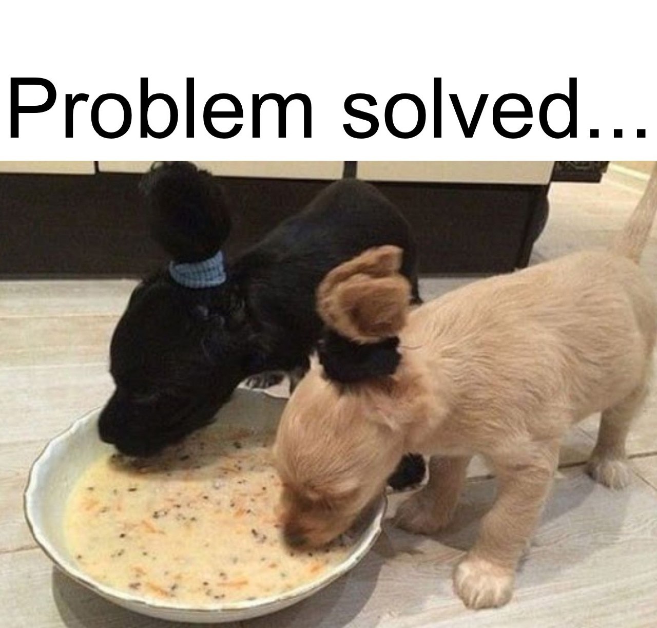 PROBLEMSOLVED.jpg