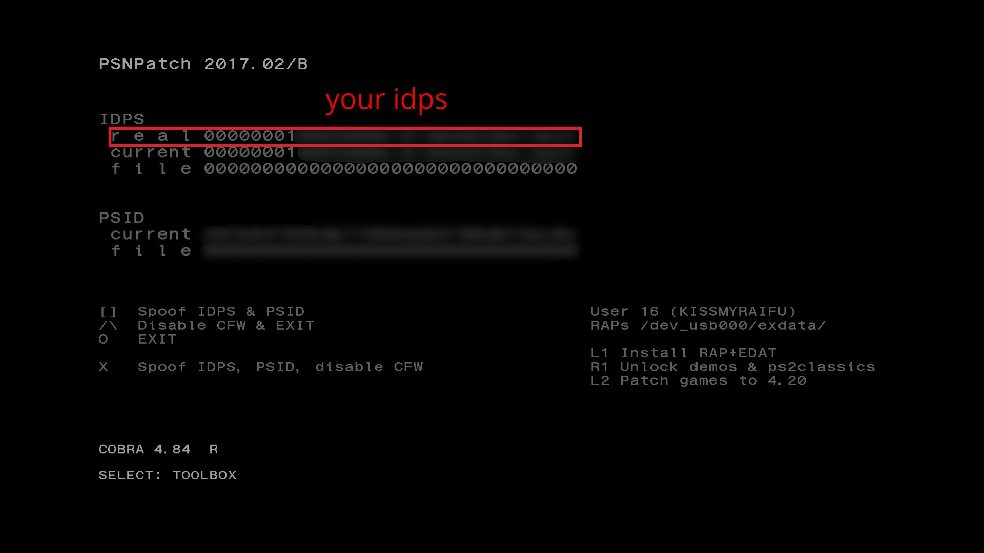 PSN Patch 2017.jpg