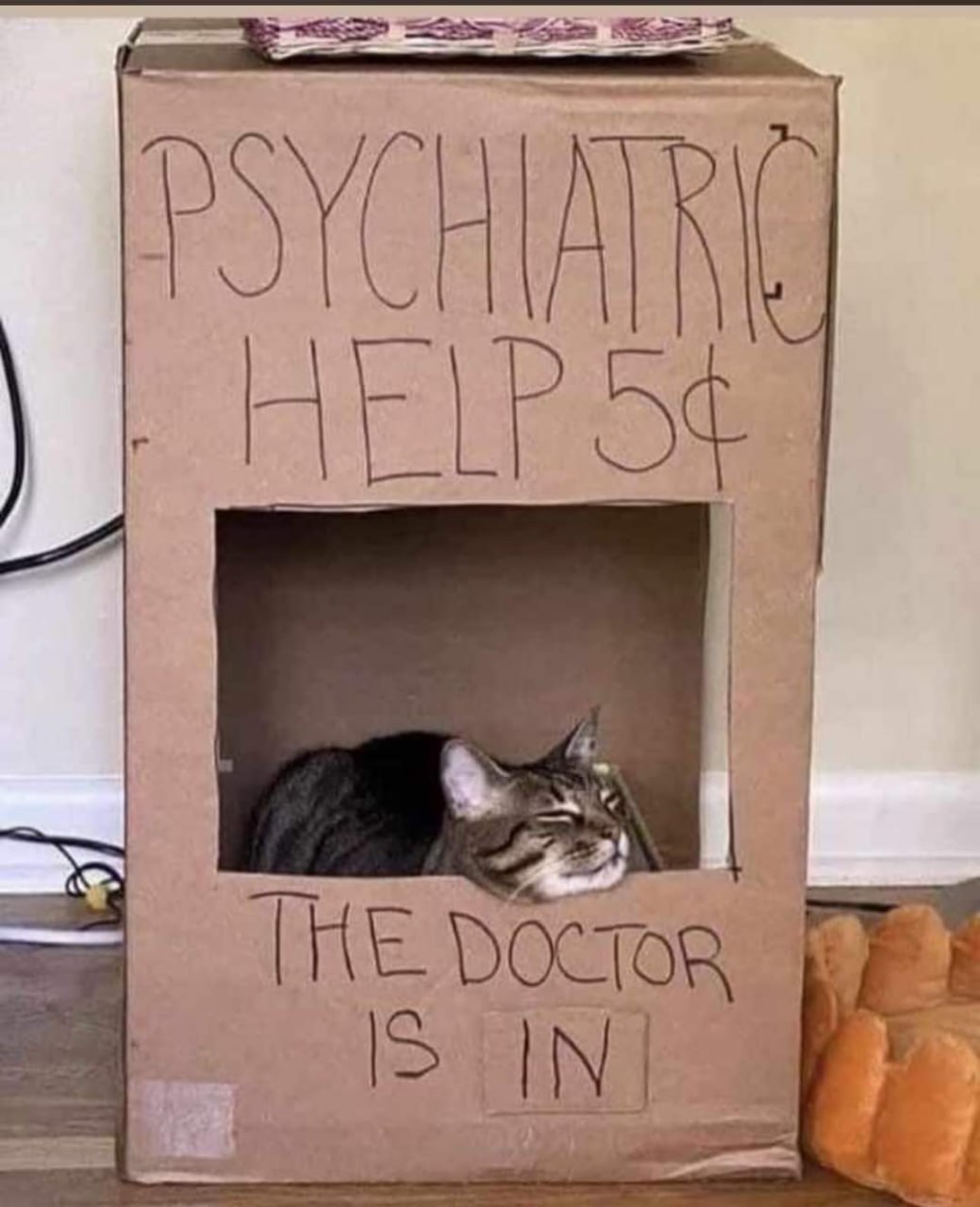psymichi.jpg
