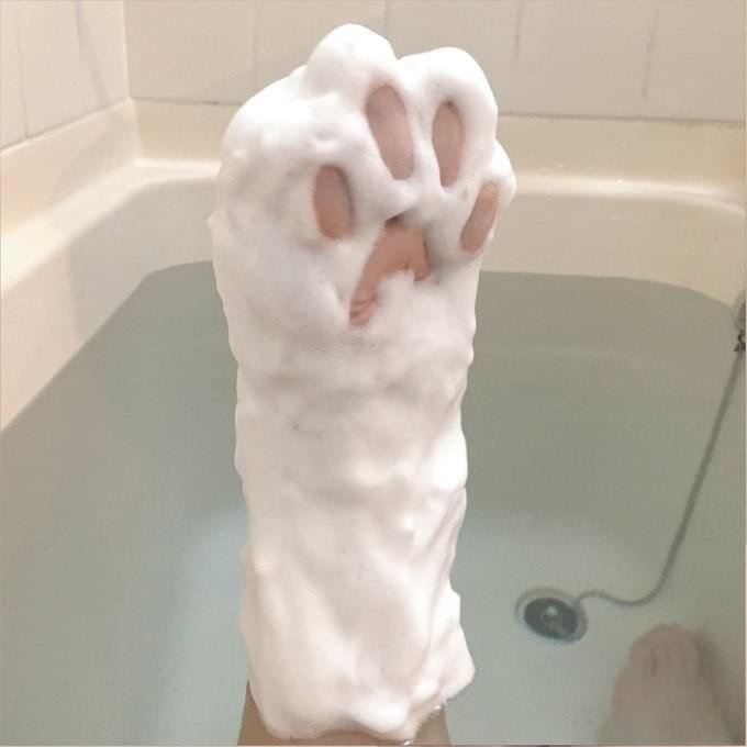 purr.jpg