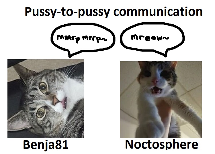 pussy.jpg