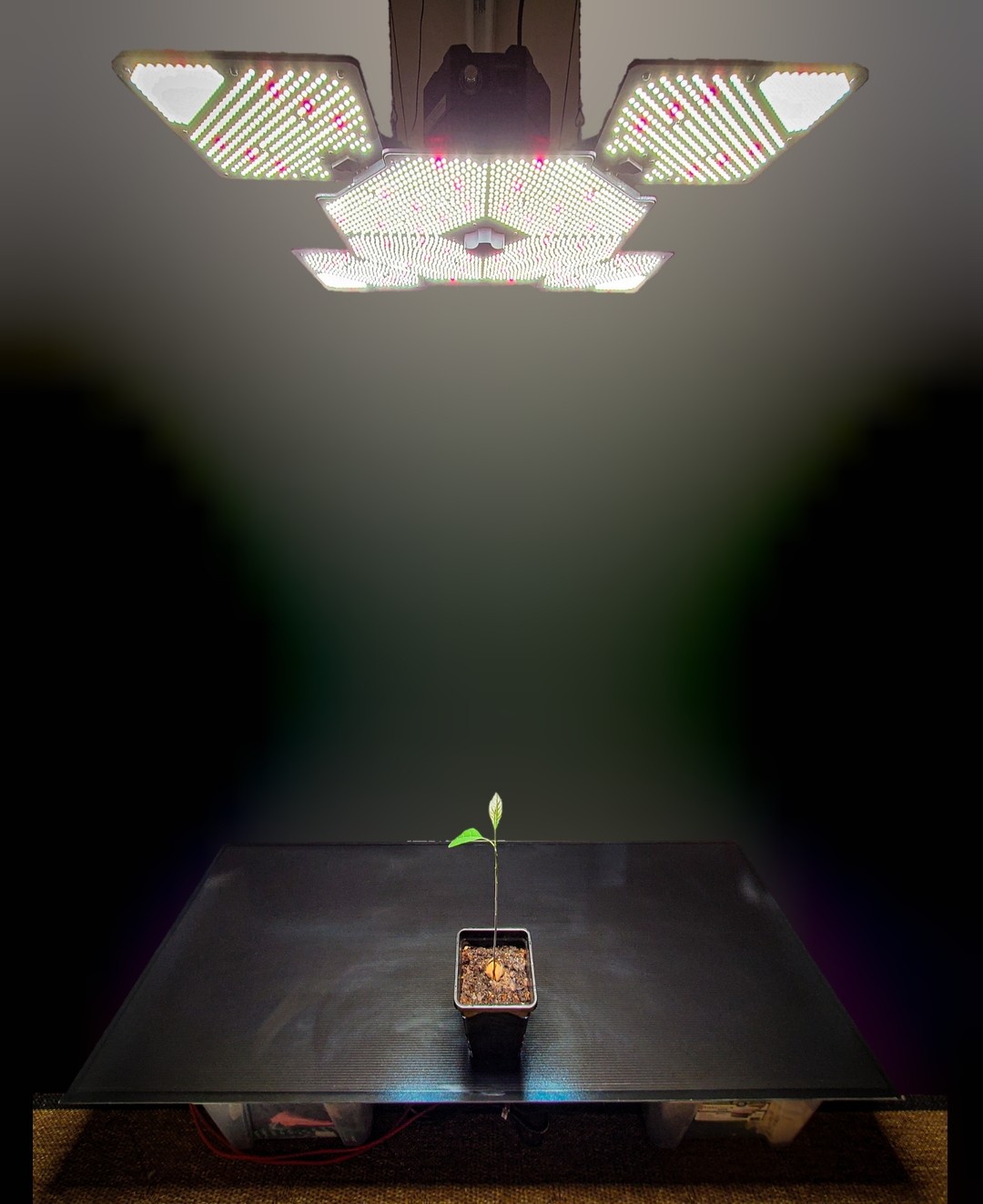 PV_grow.jpg