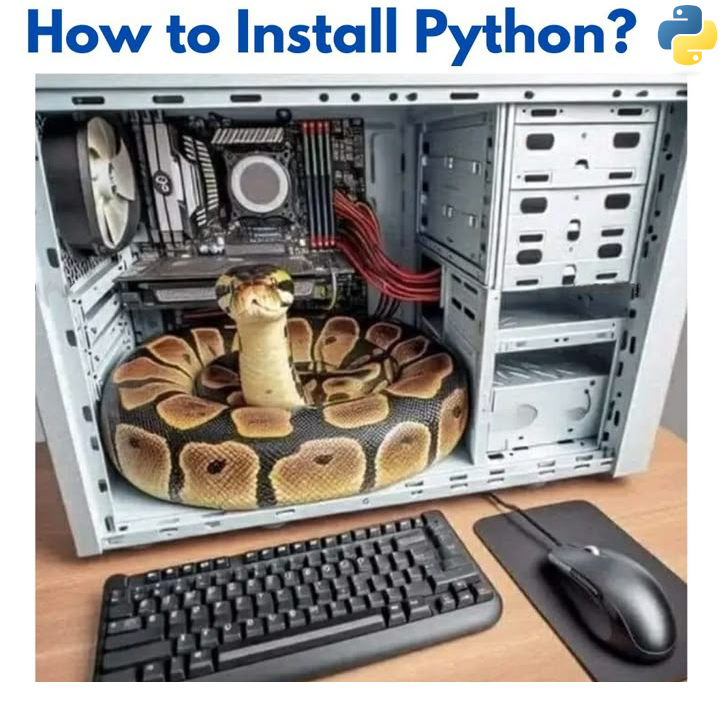 python.jpg