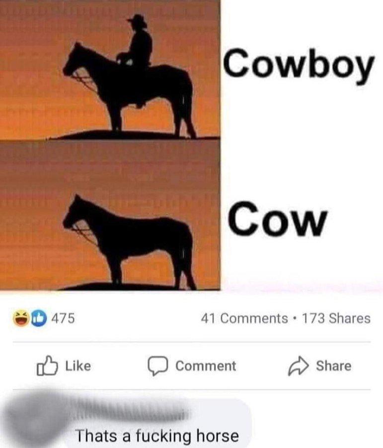 qiw6uy7g5h0e1.jpeg