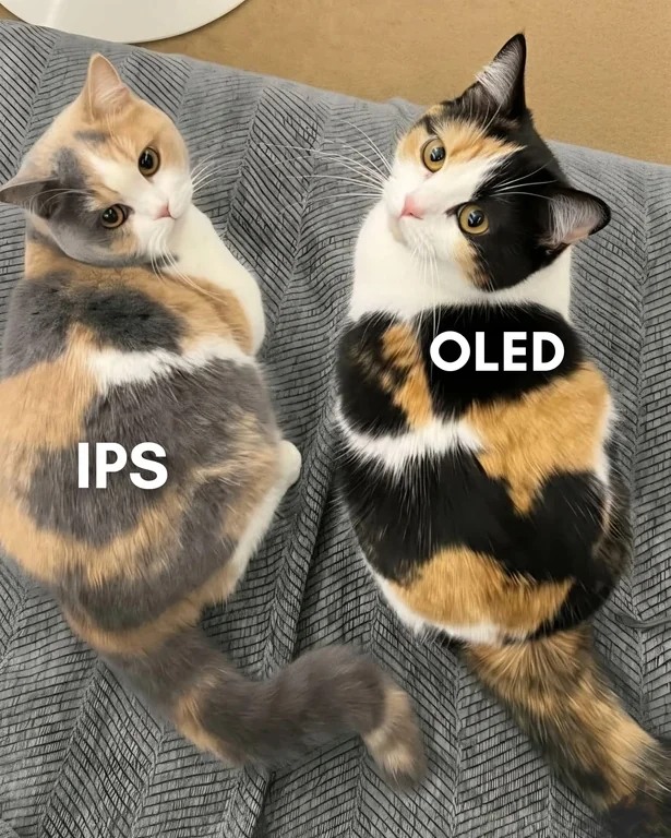 qkfdodepi6cg1.webp