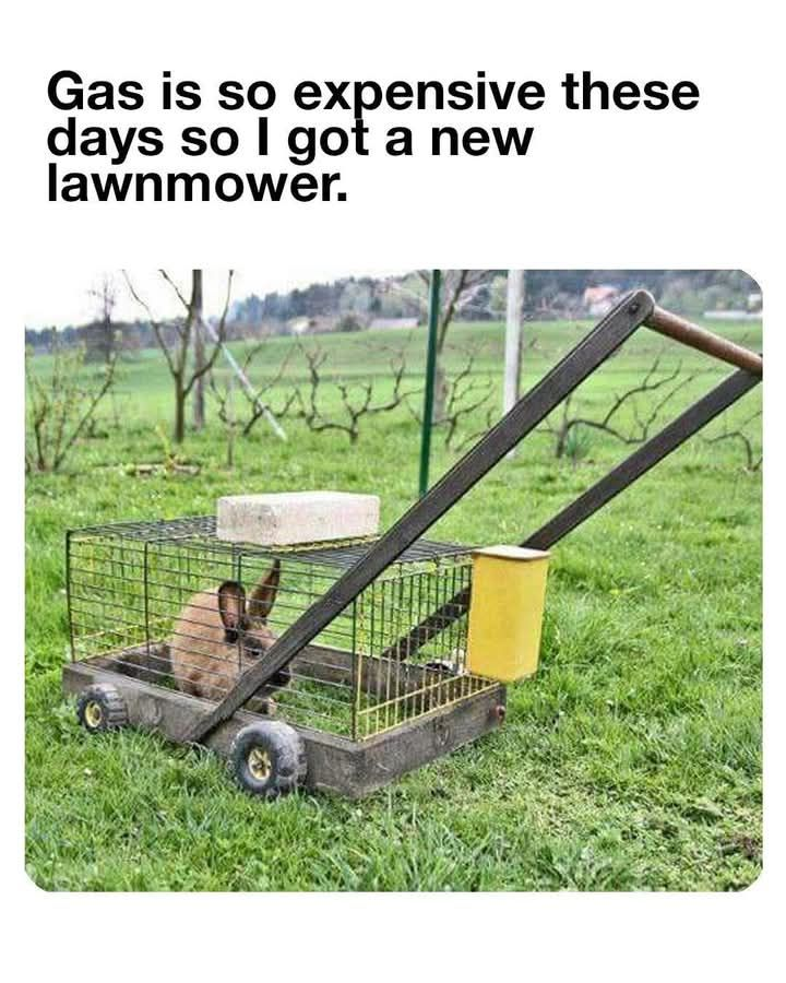 rabbitlawnmower.png