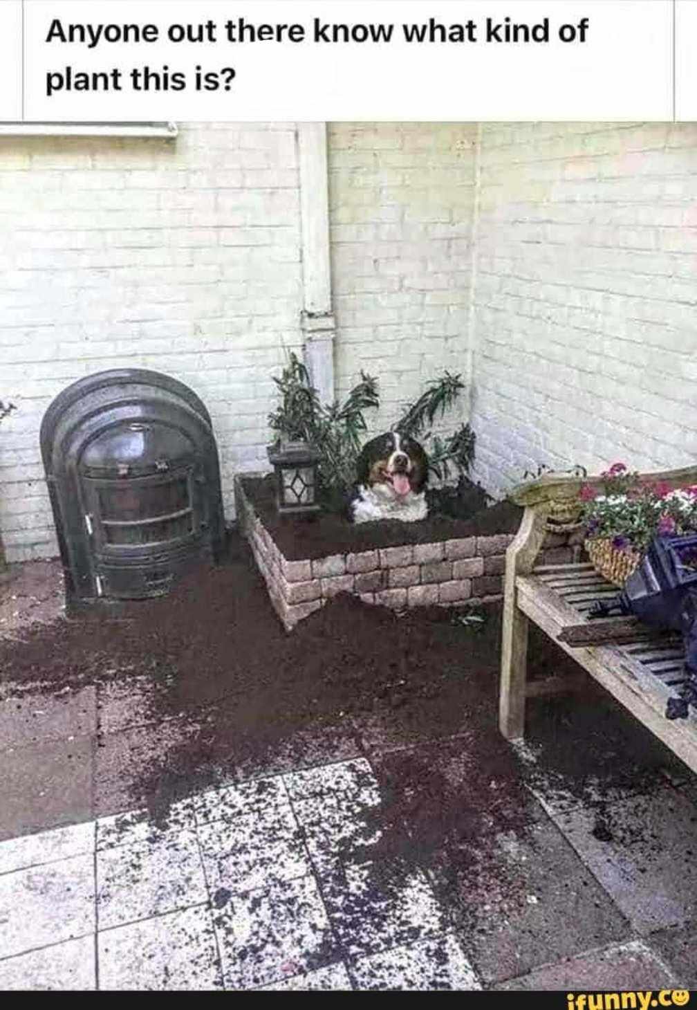 received_1135808297567034.jpeg