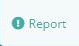 Report Button.JPG