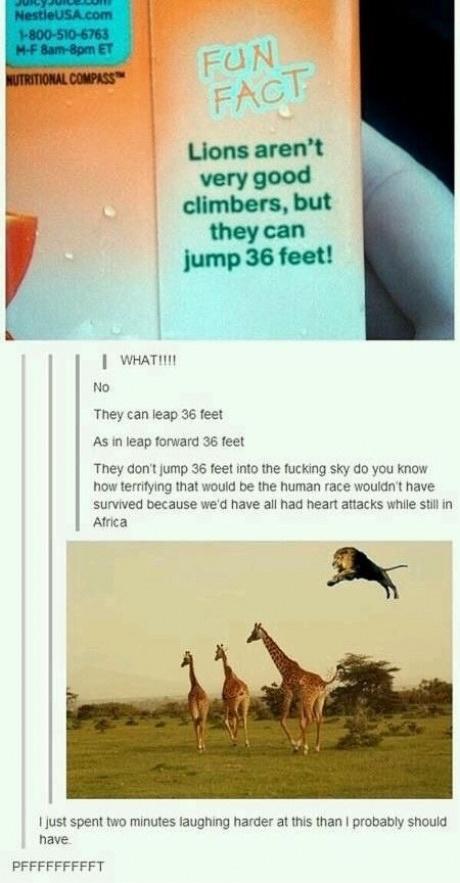 RmkwjIU.jpeg
