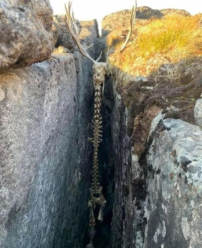 rock.jpg