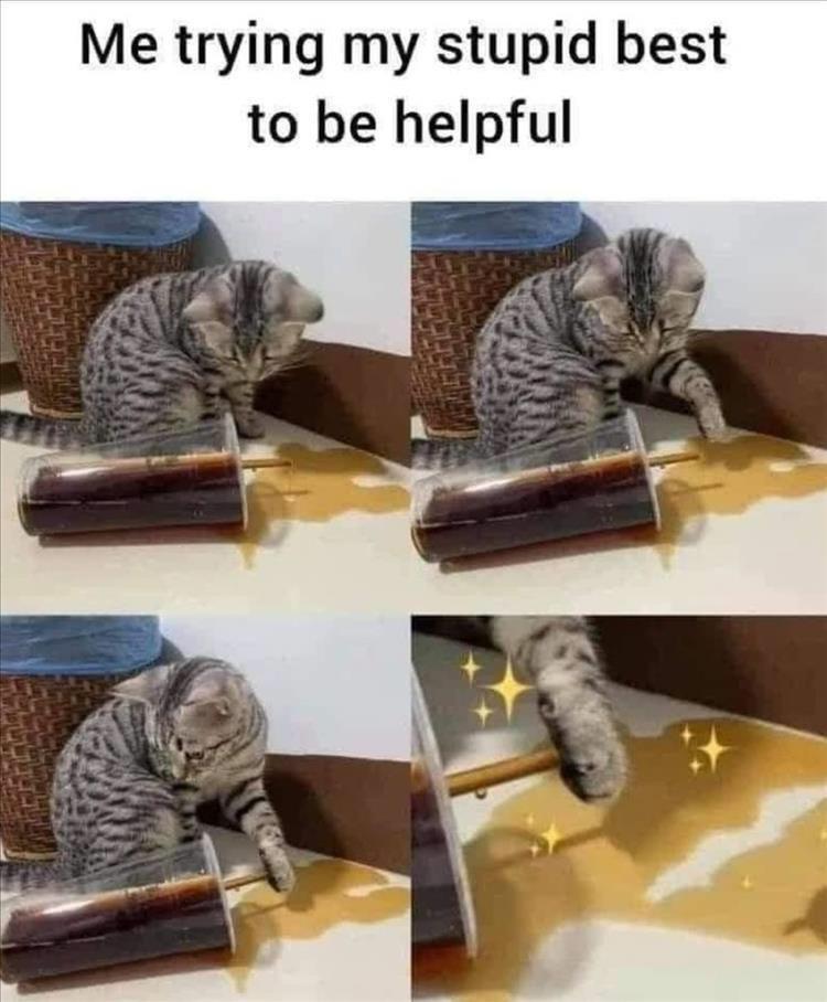 RphP7y5.jpeg