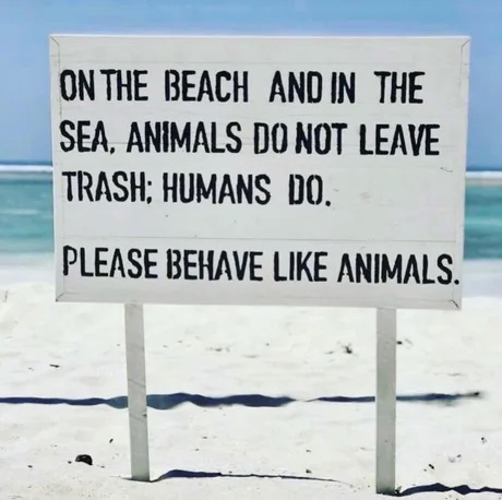 sea.jpg