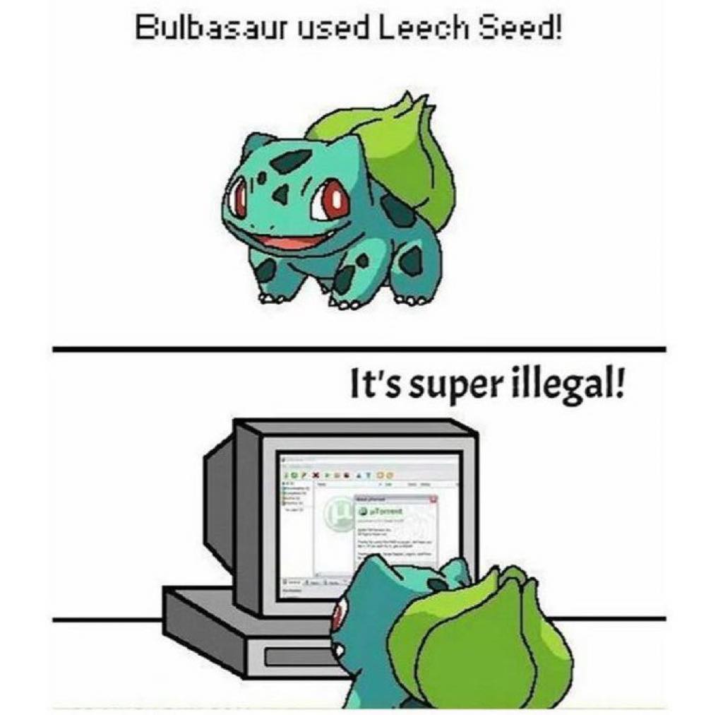 seedleech.jpg