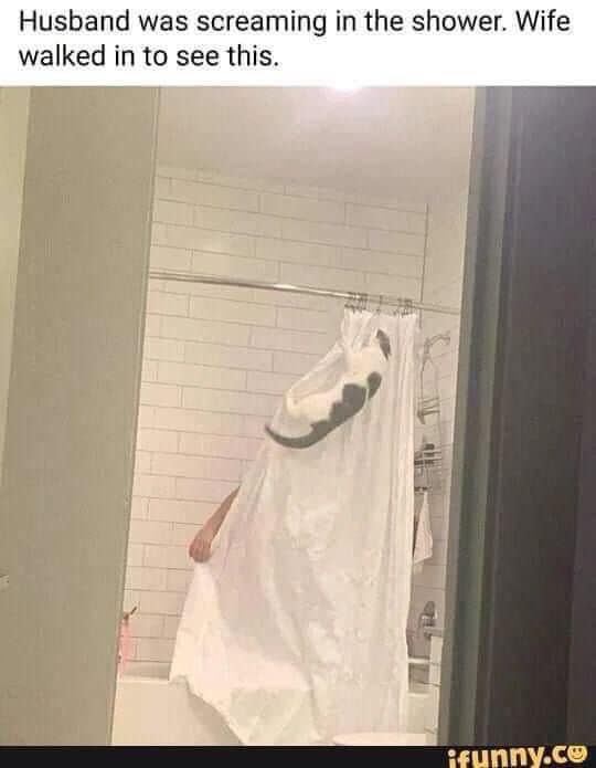 shower.jpg