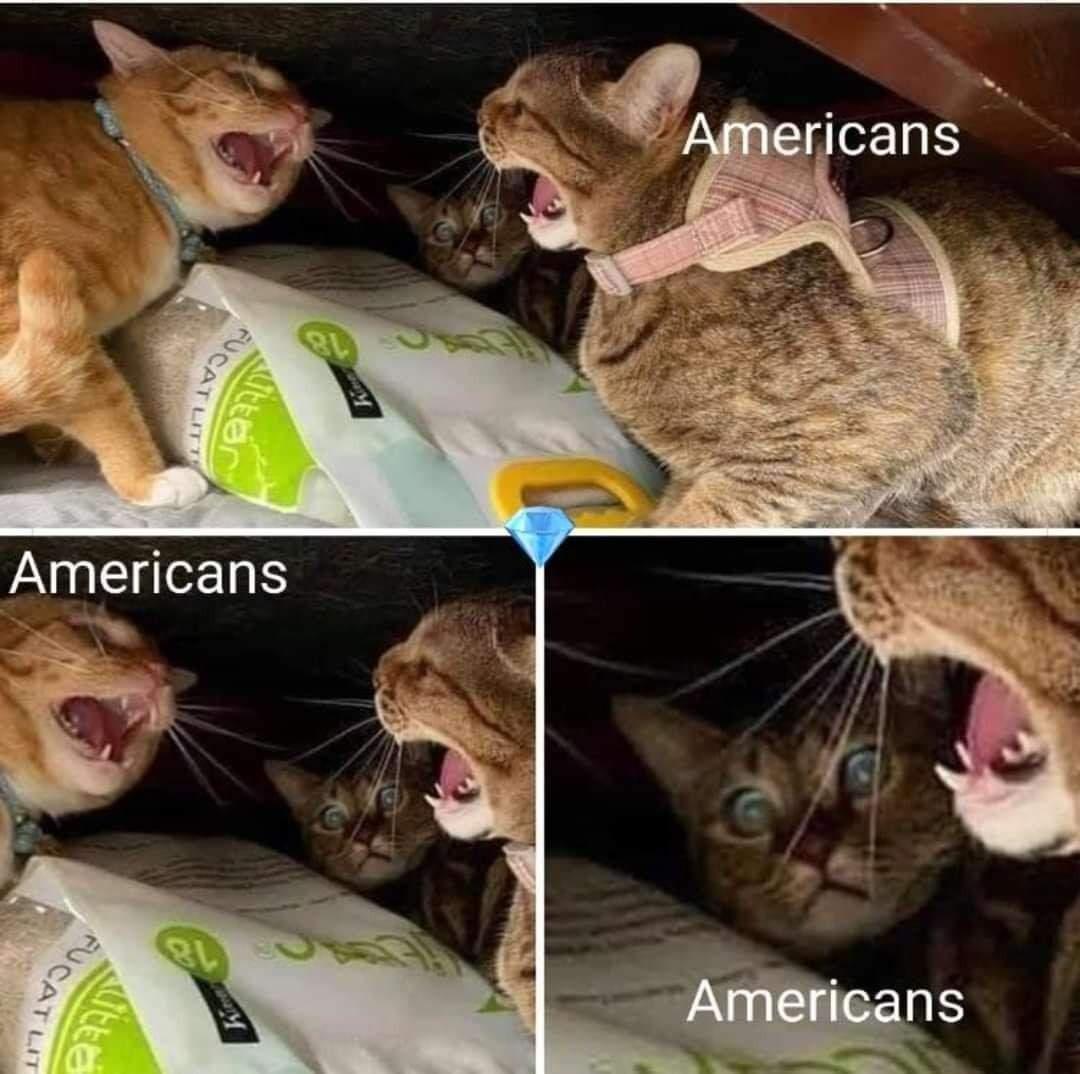 SiyFBGn.jpg