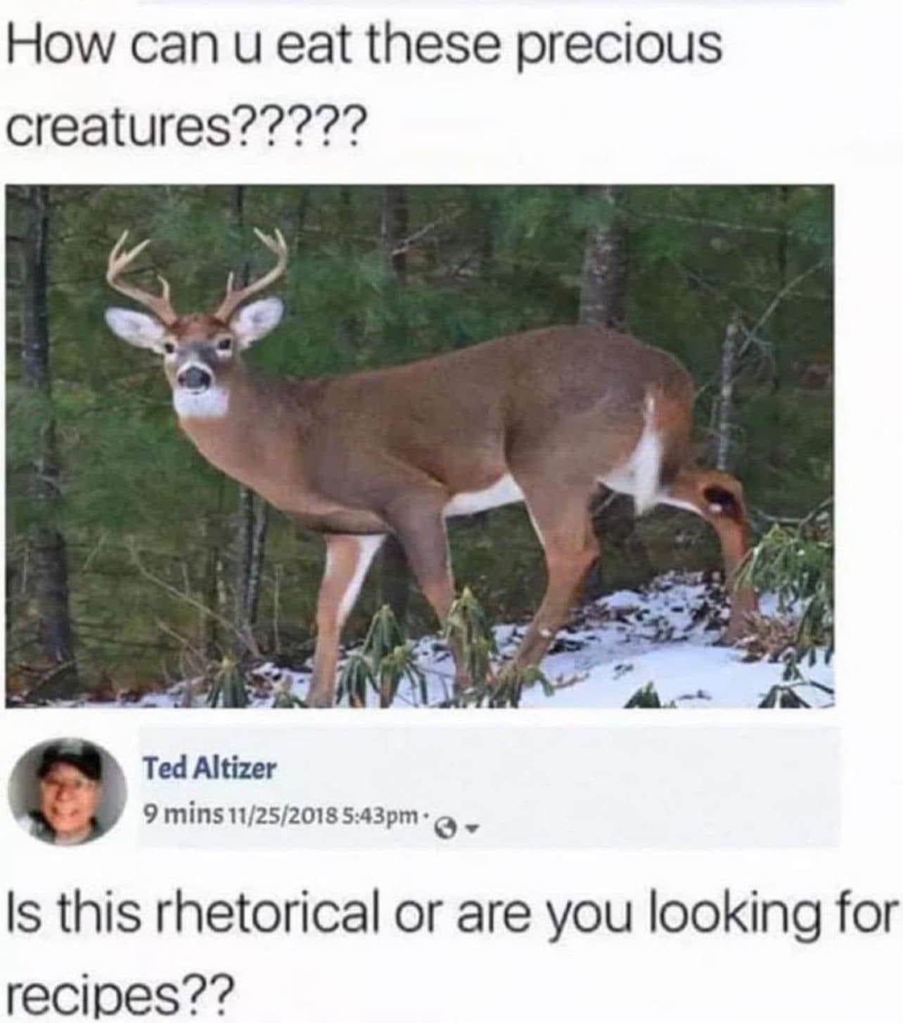 slGNSh3.jpeg