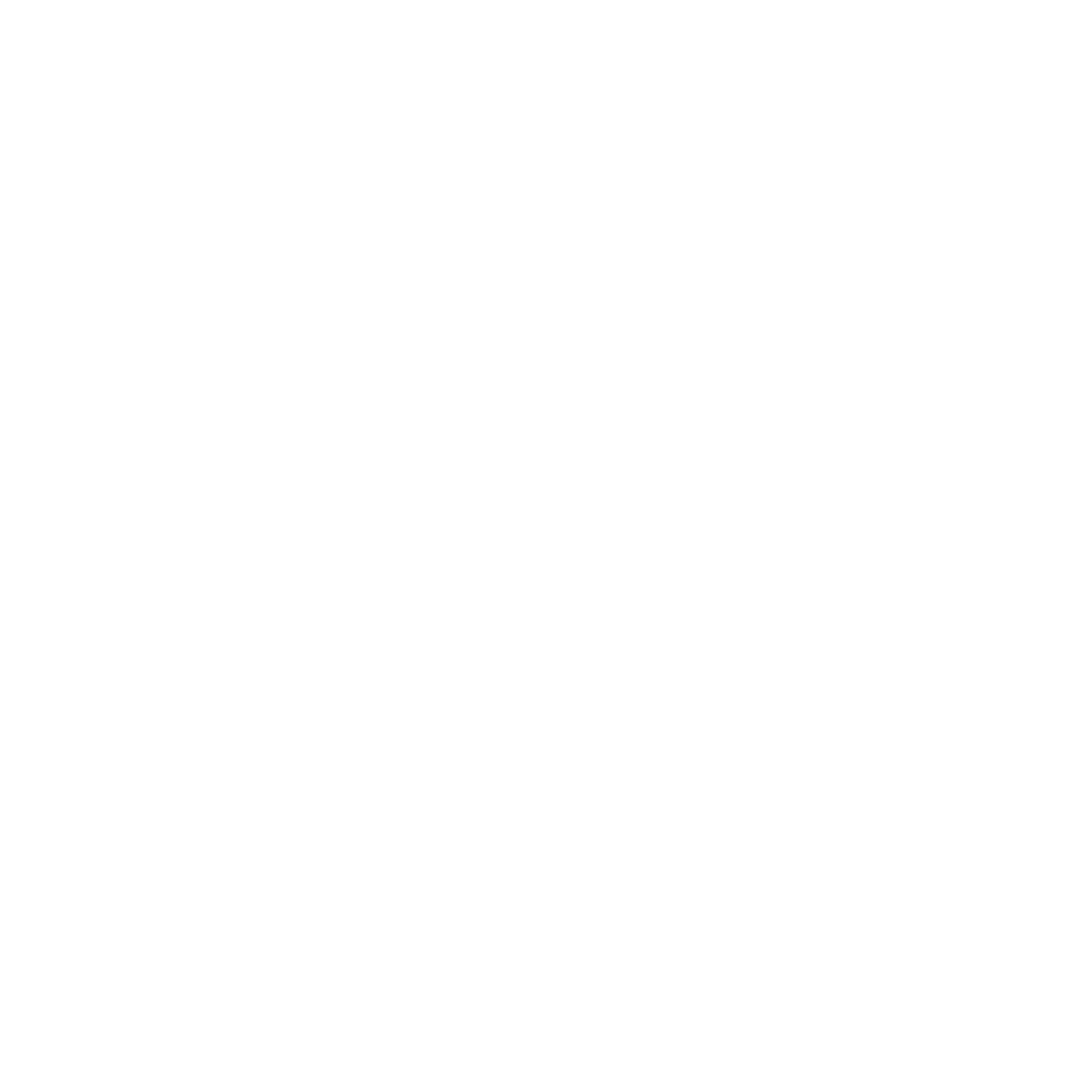 slownet.gif
