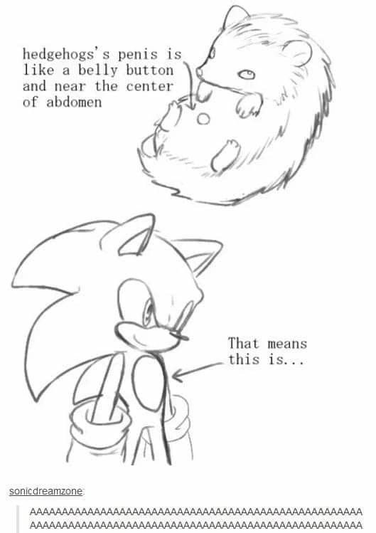 soooooonic.jpg
