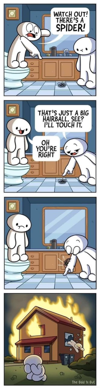 spider.jpg