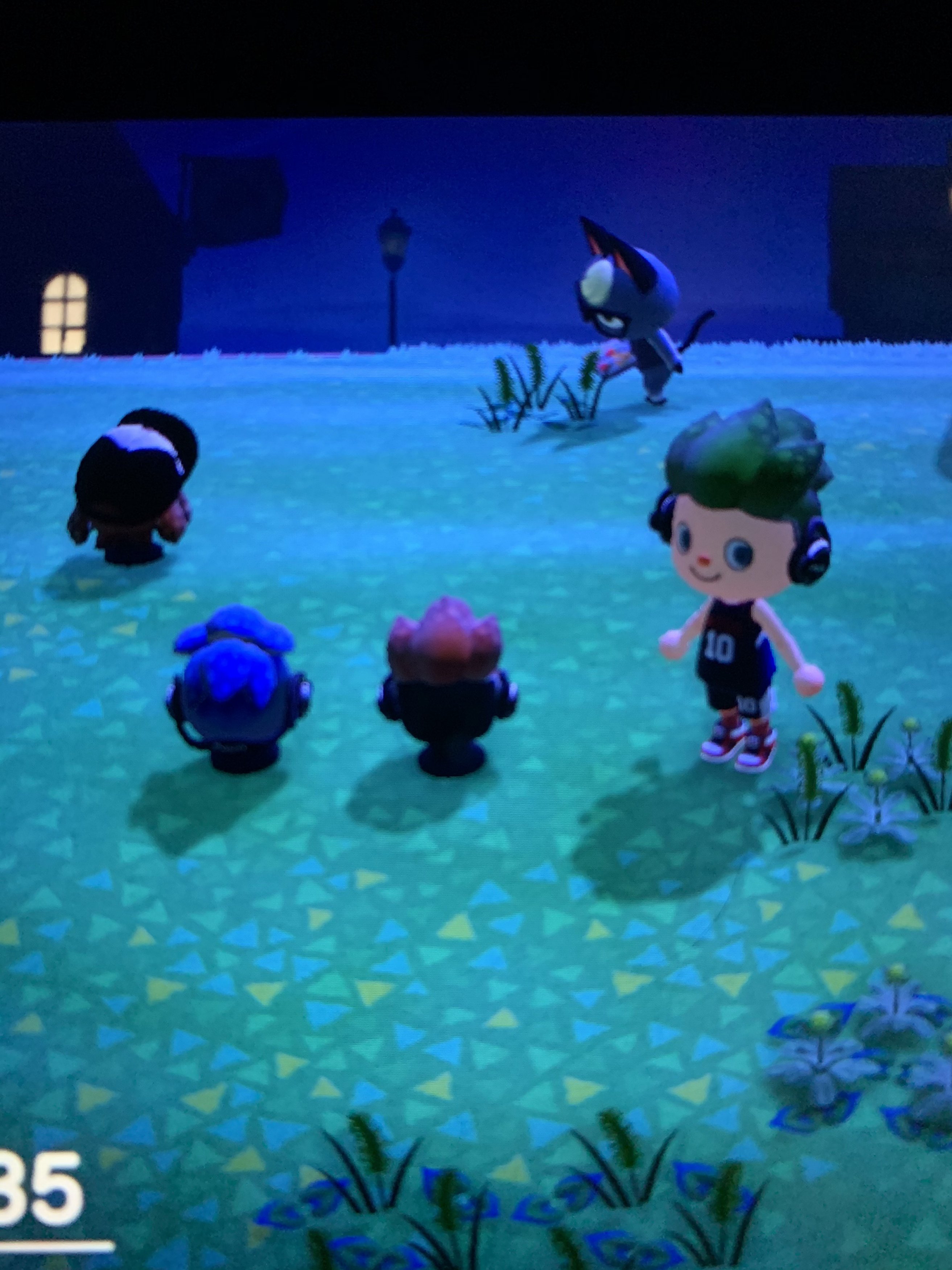 Splatoon hat.jpg