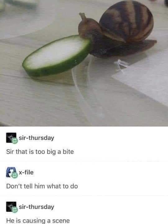SQapJYd.jpeg