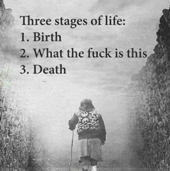 stages.jpg