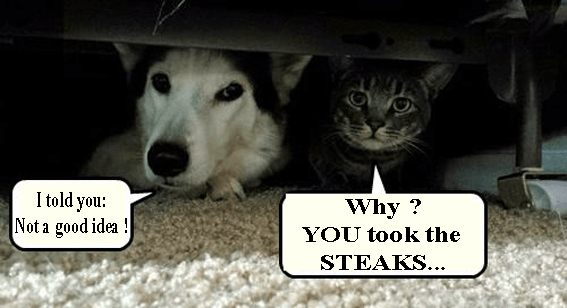steaksss8E68.jpg