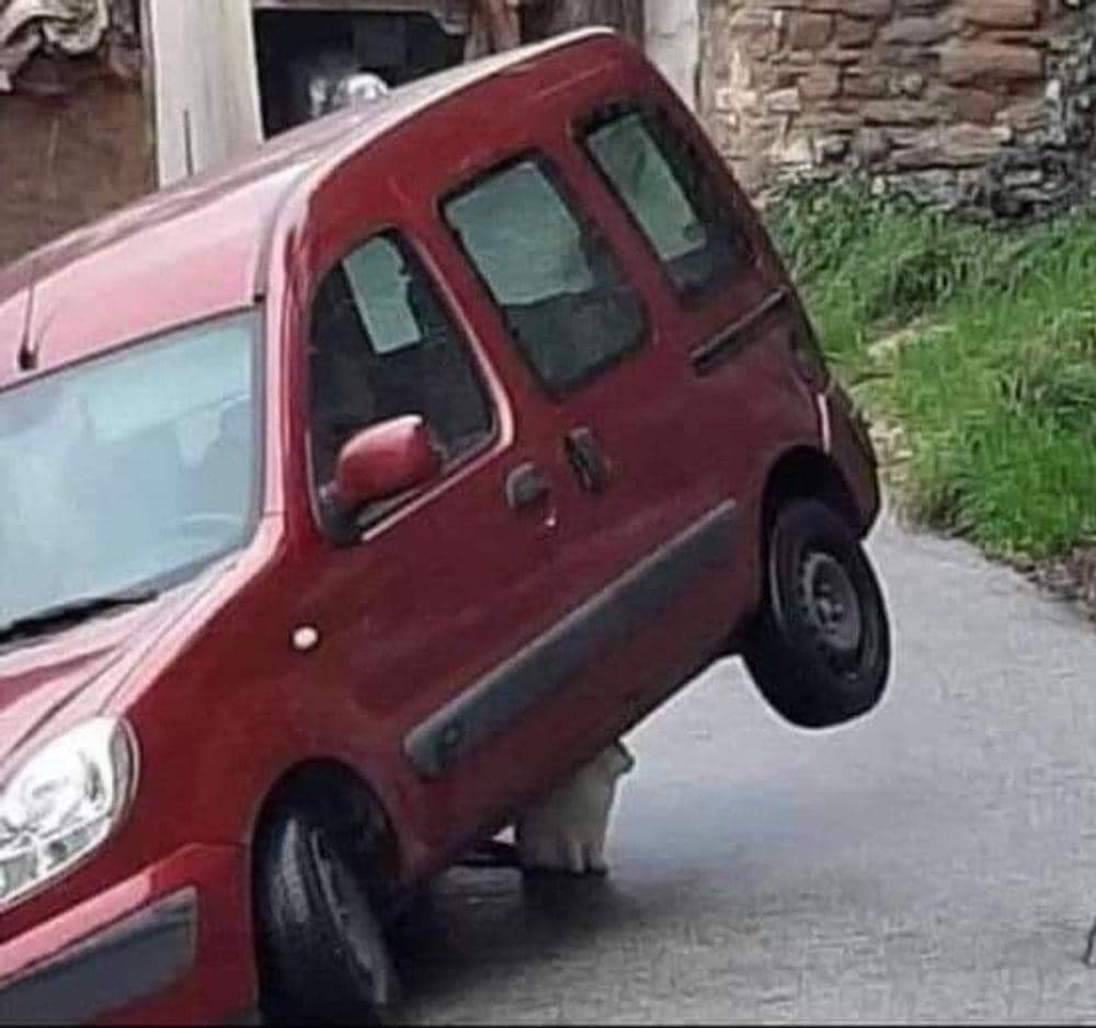 sUPERmICHI.jpg
