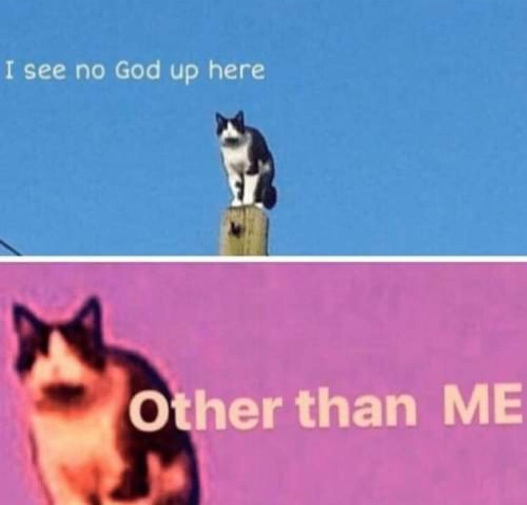 t68TYuU.jpeg