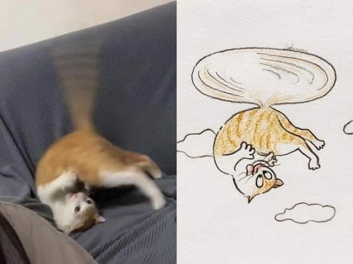 tailscat.jpg