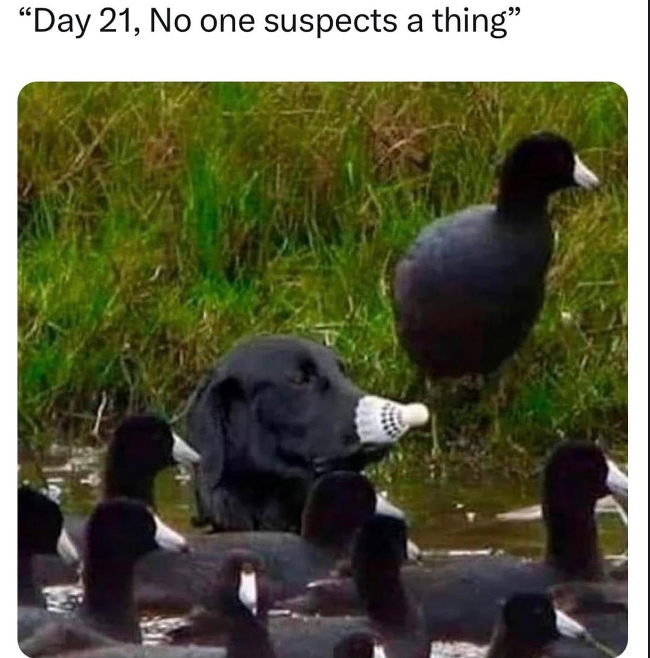 tbwsupxgf3pe1.jpeg