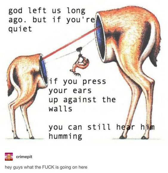 tDjw8Gs.png