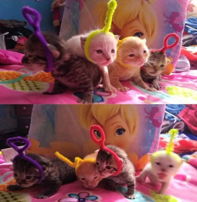 teletubbies.jpg