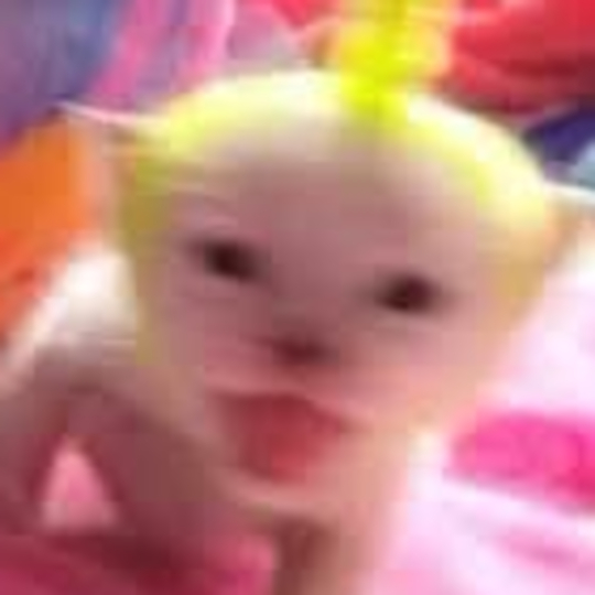 teletubbies2.jpg
