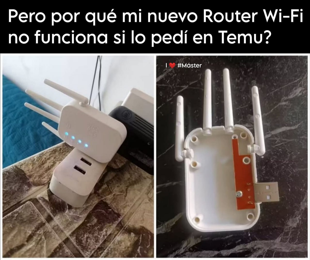 temu.jpg