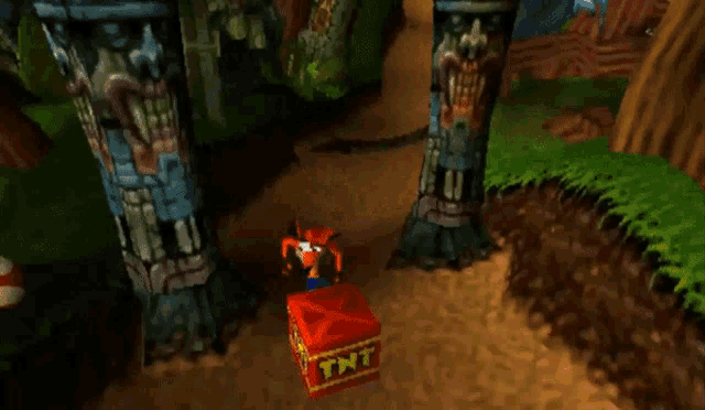 tenor.gif