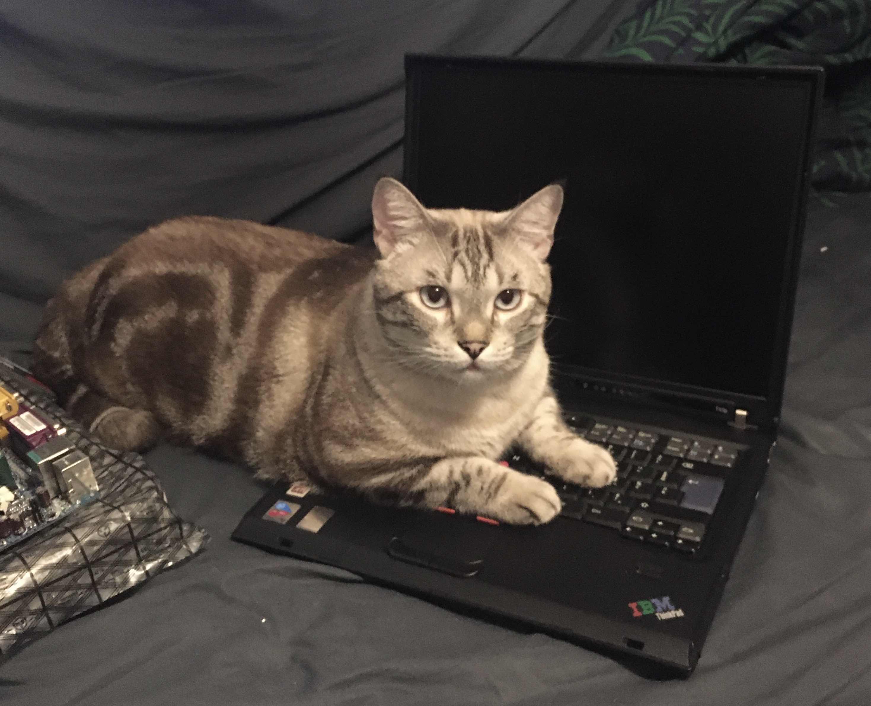 test.jpg