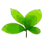 test8.png