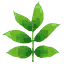 test9.png