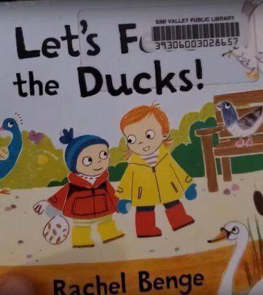 the ducks.jpg
